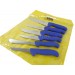 Pochette de 6 couteaux de boucher DICK ERGOGRIP acier NSF