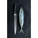 Couteau filet de sole Sabatier Edonist forgé flexible 18cm fabriqué en France