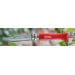Couteau Opinel Baroudeur n°08 8.5cm virole tournante rouge + cordon