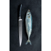 Coffret à poisson filet de sole + pince Sabatier Edonist forgés