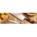 Couteau de chef SABATIER Saveur 100% forgé 20cm rivets laiton