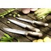 Couteau à découper 19cm Sabatier Natura manche en hêtre