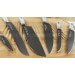 Couteau à trancher professionnel Dick Premier WACS lame forgée 18cm