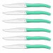 Coffret 6 couteaux à steak dentelés LOU LAGUIOLE Star manches verts