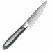 Couteau Bec d'Oiseau TOJIRO Flash lame damas 10 cm