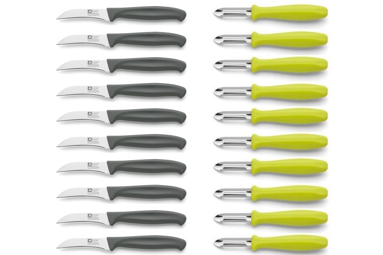 Lot de 10 &eacute;plucheurs anis + 10 couteaux &agrave; l&eacute;gumes gris Richardson Sup R Cut