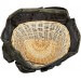 Sac à dos pour champignons Maserin 35L