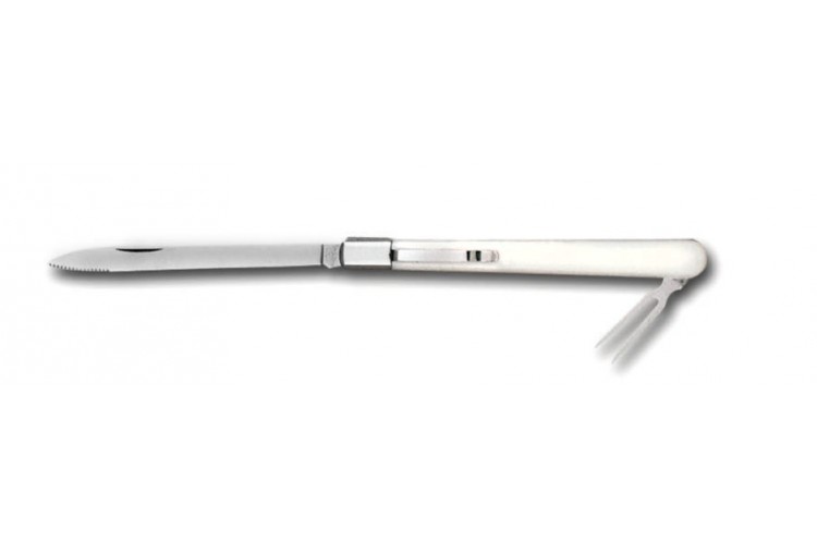 Couteau de d&eacute;gustation Bargoin pliant pour fromages lame 11cm inox