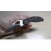 COUTEAU BYRD TERN