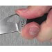 Couteau pliant Spyderco BYRD Tern manche G10 9cm