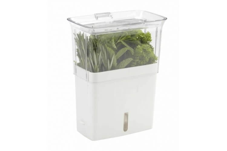 Conservateur Cole & Mason pour herbes fraiches coupées