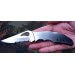 Couteau pliant Spyderco BYRD Meadowlark 2 à dents tout inox 10cm