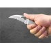 Couteau pliant Spyderco BYRD Crossbill à dents tout inox 12cm