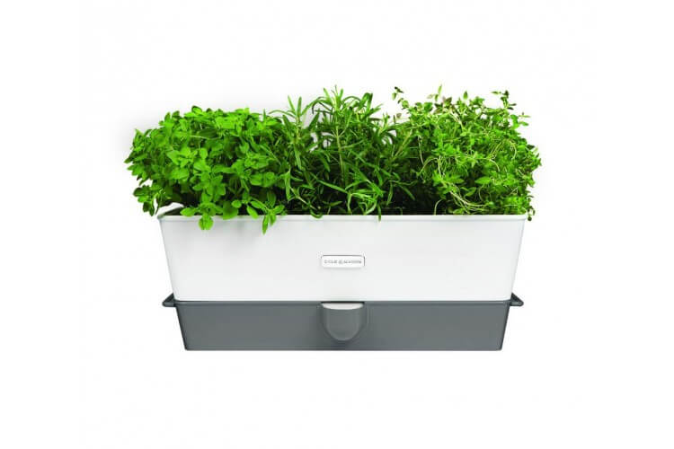 Conservateur Cole & Mason pour herbes fraiches en pot - 3 places