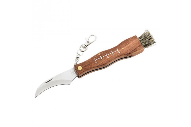 Couteau &agrave; champignon Herbertz 251411 inox manche 11cm bois avec brosse