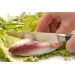 Couteau universel Berghoff Essentials lame forgée 12cm acier inox