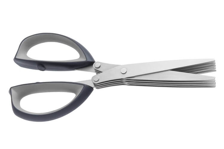 Ciseaux à herbes Berghoff Essentials 20,5cm multi-lames + brosse