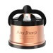 Aiguiseur AnySharp PRO