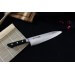 Couteau deba japonais Fujiwara AUS-8