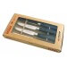 Set de 4 couteaux à steak pro Fischer ZEN extrême dureté