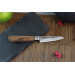 Couteau d'office japonais artisanal Wusaki Nogami BS2 9cm manche en noyer
