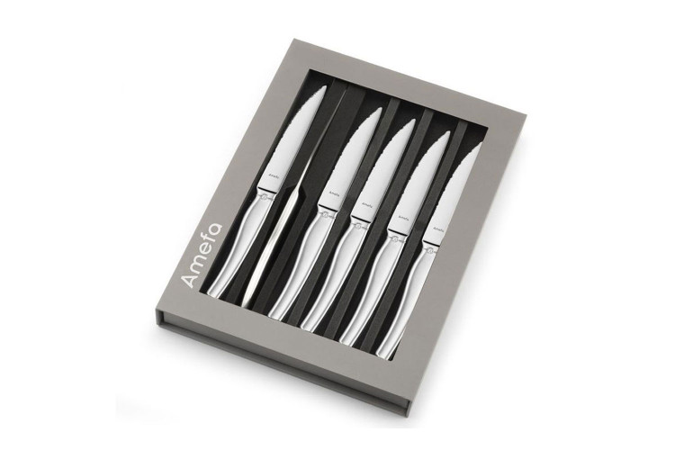Coffret de 6 couteaux &agrave; steak Amefa Goliath tout inox