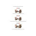 Couteau pliant Liner London Claude Dozorme manche teck 11cm