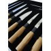 Valise de 11 Couteaux type Japonais Pradel Excellence