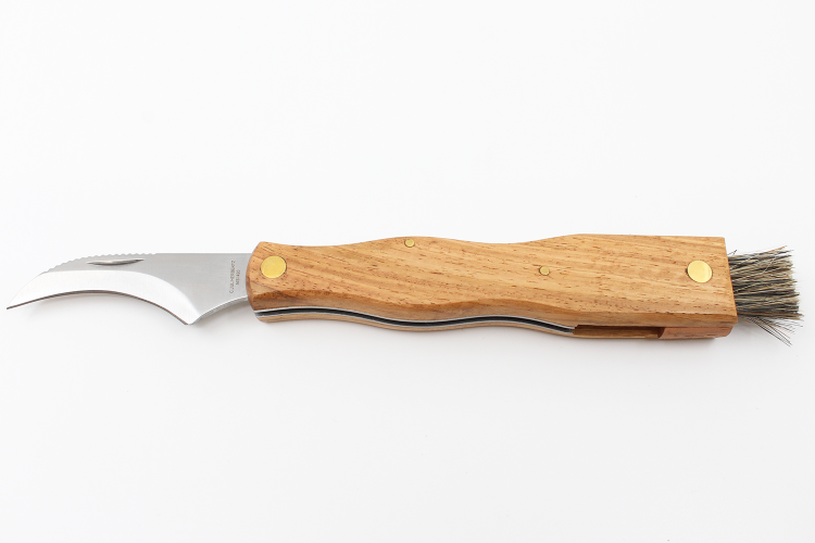 Couteau pliant &agrave; champignons Herbertz acier inox 7,5cm avec brosse