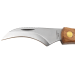 Couteau pliant à champignons Herbertz acier inox 7,5cm avec brosse