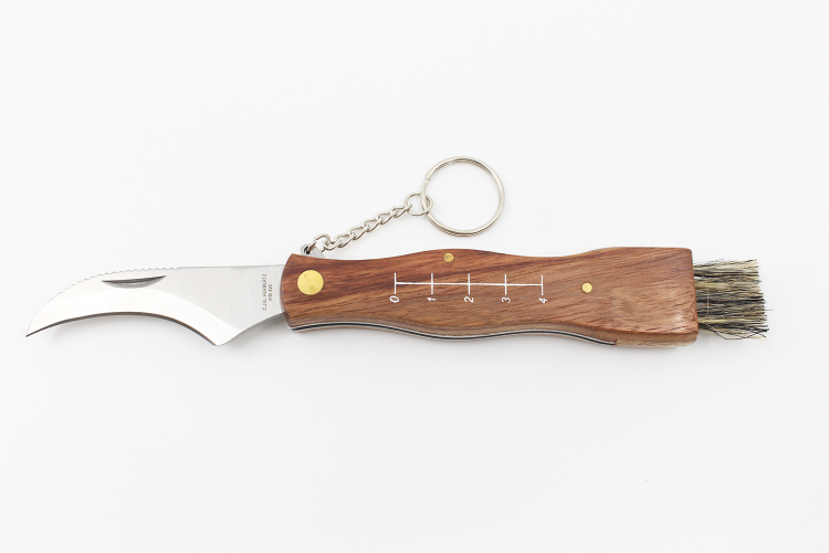 Couteau pliant &agrave; champignons Herbertz acier inox 7,3cm avec brosse et &eacute;tui