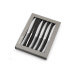 Coffret 6 couteaux à steak Amefa Bongo XL tout inox