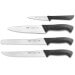 Coffret 4 couteaux de cuisine professionnels Sanelli Skin