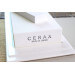 Pierre à aiguiser japonaise Suehiro Cerax céramique grains 8000 sur socle