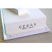 Pierre à aiguiser japonaise Suehiro Cerax céramique grains 6000 sur socle