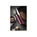 Set de 6 couteaux à steak lame crantée 11cm Tramontina manche rouge