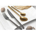 Ménagère 16 couverts de table Diplomate PVD Amefa inox 18/0