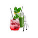 Set 4 pailles en inox Gefu Future 18cm avec brosse de nettoyage