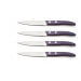 Coffret 4 couteaux d'office dentelés Lou Laguiole Util FOREST violet