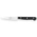 Mallette 5 couteaux de cuisine professionnels Sabatier international Styx POM