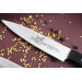 Mallette 5 couteaux de cuisine professionnels Sabatier international Styx POM