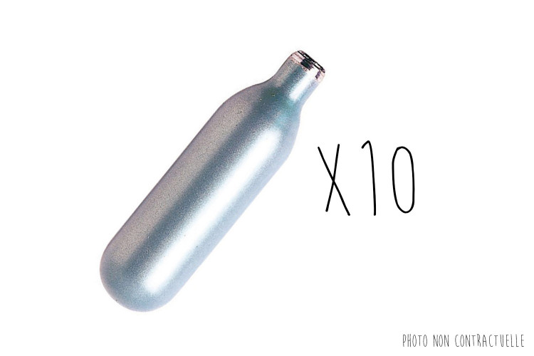 Cartouches &agrave; visser pour siphon x10
