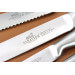 Bloc contemporain 5 couteaux cuisine Sabatier International Ixo tout inox