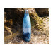 Bouteille isotherme Qwetch Ocean Lover 500ml - Edition spéciale