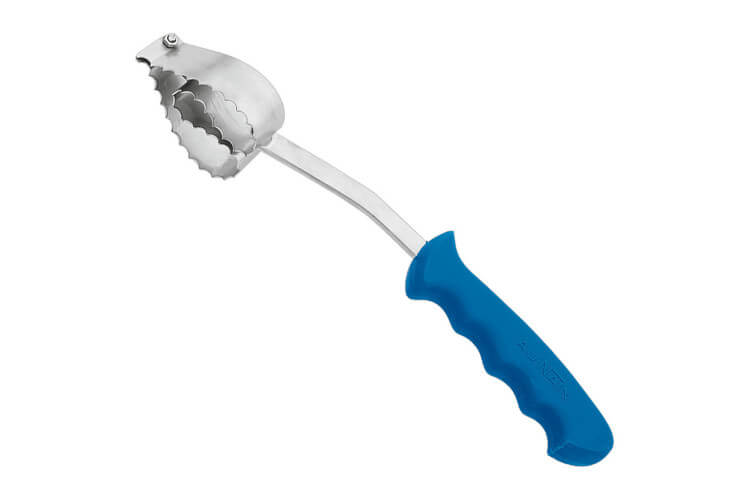 Ecailleur à poisson double cœur Au Nain manche moulé bleu 18cm