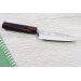 Couteau universel japonais artisanal Yu Kurosaki Raijin acier cobalt 12cm