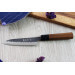 Couteau universel japonais artisanal Anryu AS 13cm