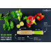 Pilon doseur Cookut We Are Mojito 4 en 1 en bois 28cm