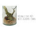 Mélange pour rhum arrangé Quai Sud Antilles en carafe 1l - Notes agrumes et tonka
