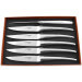 Coffret de 6 couteaux de table Laguiole en Aubrac Monobloc en inox brillant